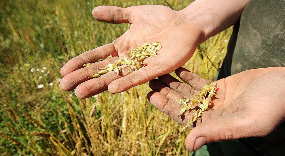 Respecter la nature au cœur de notre responsabilité sociale et sociétale